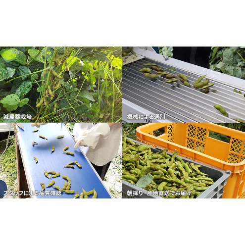 枝豆 青森県産 幻の特上えだまめ『毛豆』300g×4袋【栗のような甘み