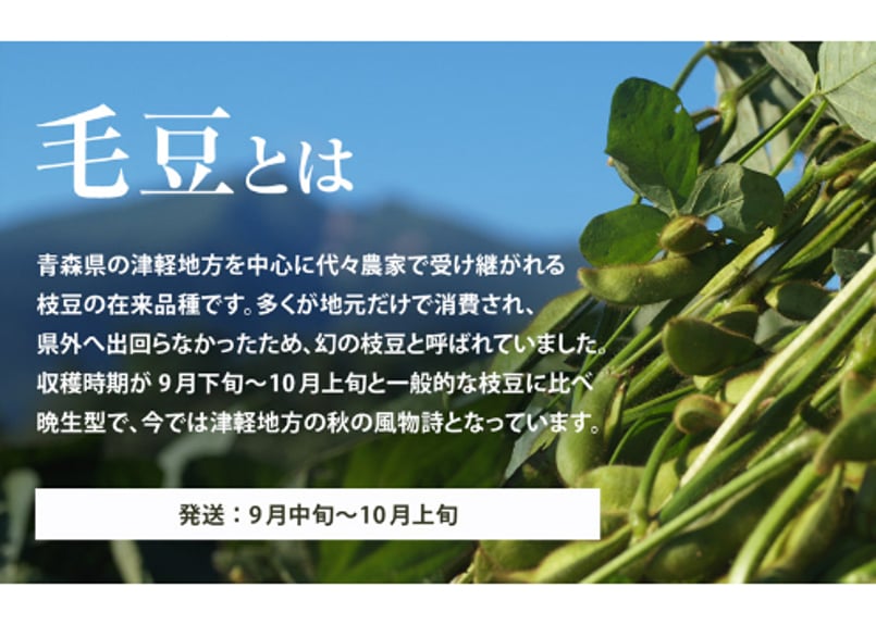 枝豆 青森県産 幻の特上えだまめ『毛豆』300g×4袋【栗のような甘み