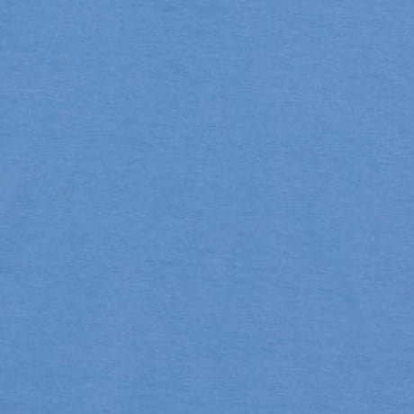 SUNロゴのTシャツ(BLUE)for KIDS