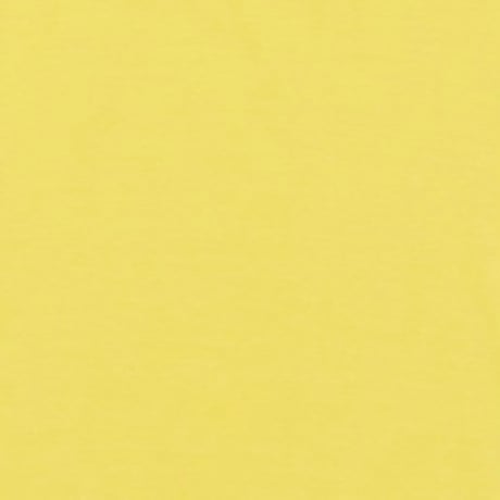 🐻ロゴのTシャツ(YELLOW)for KIDS