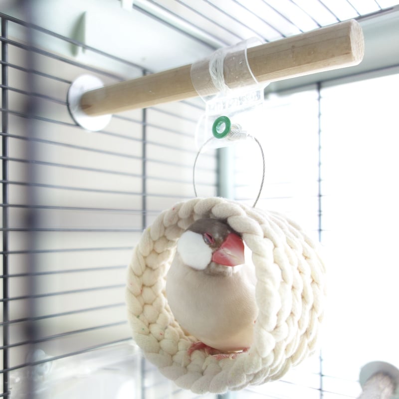 【Kirariページ】他の方のご購入はお控え下さい。 ホヨヨアンカー | KiriTori Shop