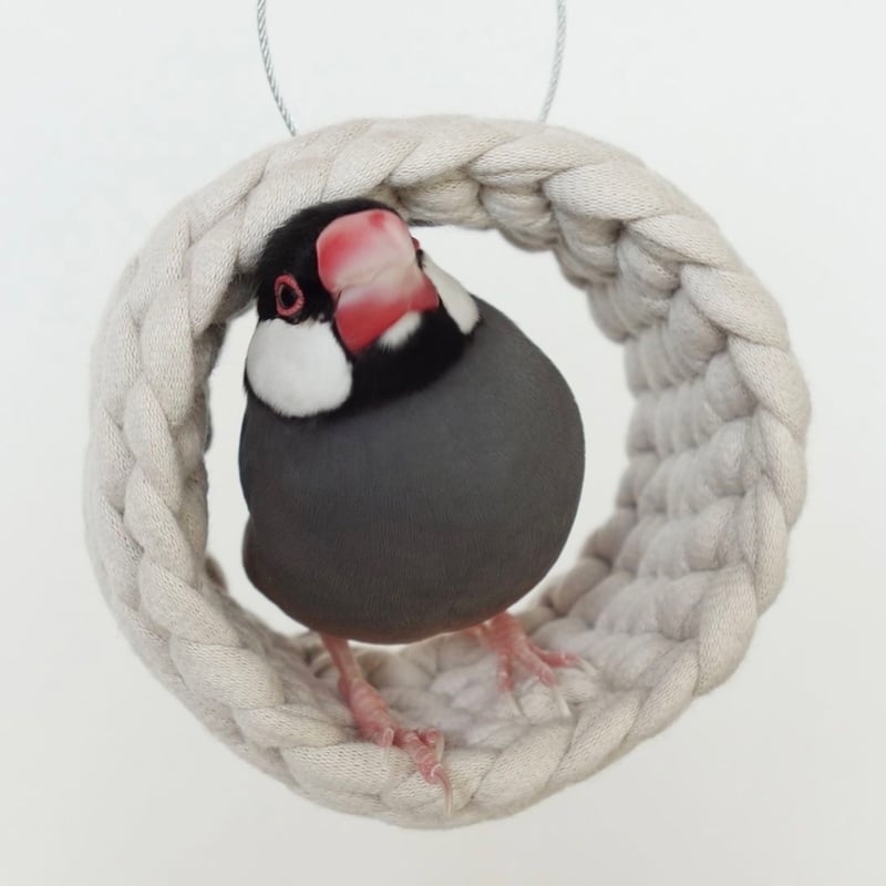 ホヨヨ ボール kinari | KiriTori Shop