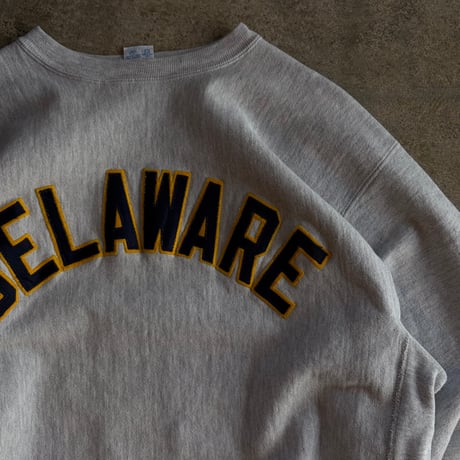 90's CHAMPION  REVERSE WEAVE"DELAWARE"