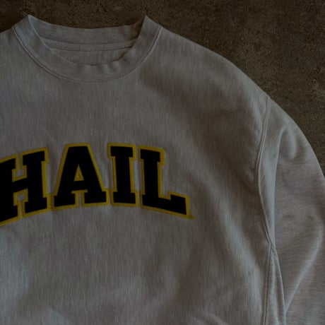 CHAMPION  REVERSE WEAVE"HAIL"