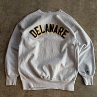 90's CHAMPION  REVERSE WEAVE"DELAWARE"