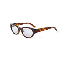 430 SUNGLASSES "C" PHOTOCHROMIC LENS 2COLORS
