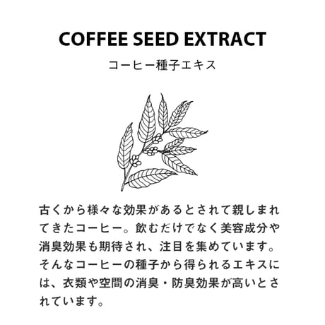 FRAGRANCE CAFE "WOOD"