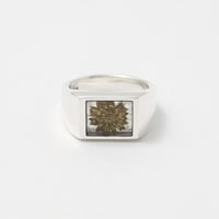 XOLO "SIGNET RING WITH GREY&GOLD FLOWER"
