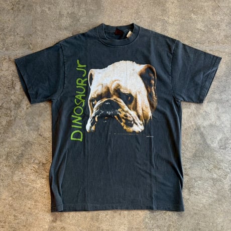 dinosaurjr | STORES