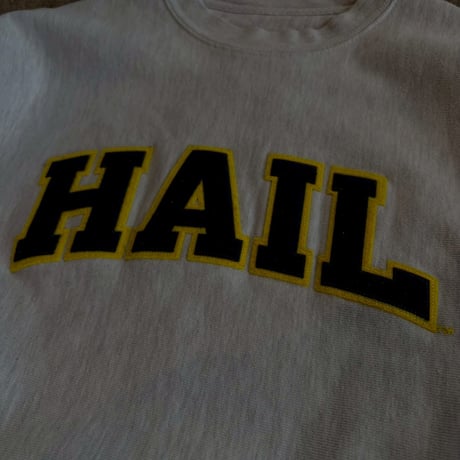 CHAMPION  REVERSE WEAVE"HAIL"