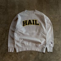 CHAMPION  REVERSE WEAVE"HAIL"