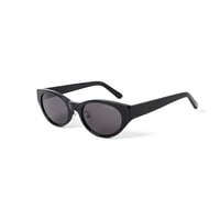 430 SUNGLASSES "C" 2COLORS