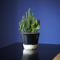 オンコクラーダ綴化　×　AMETSUCHI pot(S)