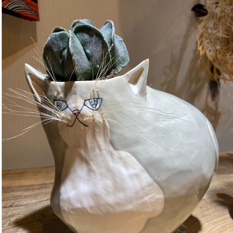 専用 まん丸ぽて様 出遅れ☆サボにゃん ランポー玉 | 森林食堂-Happa nursery-