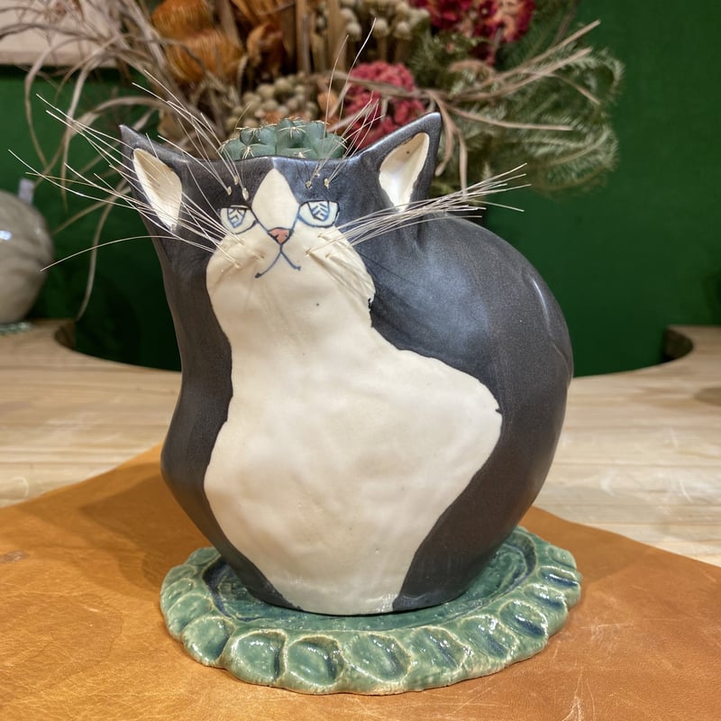 出遅れ・・サボにゃん 瑞晶玉 | 森林食堂-Happa nursery-