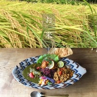 森林食堂の自家製米 (白米)30kg