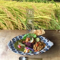 森林食堂の新米自家製米 (白米)(玄米)30kg