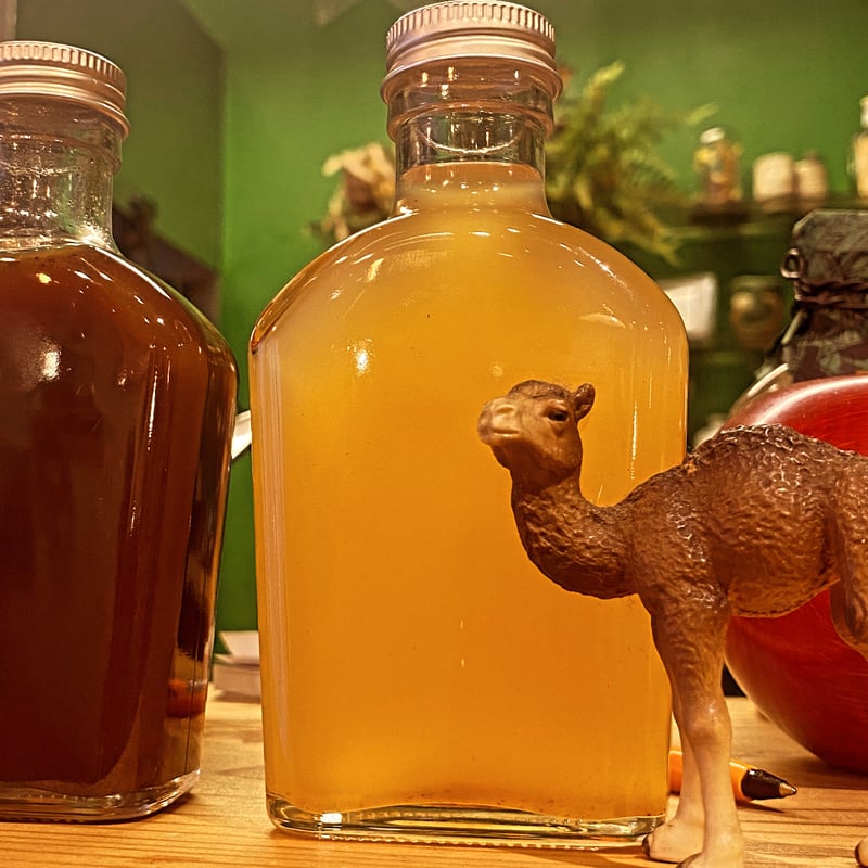 囲い生姜と新生姜のミックス（キャメルカラー） ジンジャーシロップー  