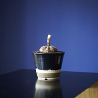 瑞昌（実生）×　AMETSUCHI pot (S)