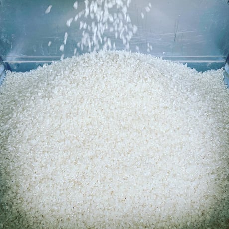 森林食堂の新米自家製米 (白米)(玄米)30kg