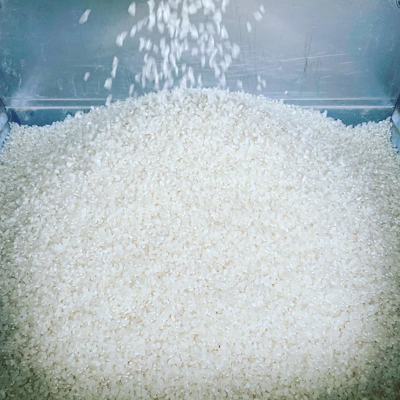 伊賀のコシヒカリ 10kg（白米） 伊賀のコシヒカリ 10kg（白米） 楽天市場】伊賀米 コシヒカリ