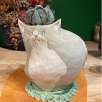 出遅れ☆サボにゃん  ランポー玉