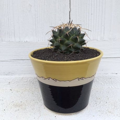 マグニママ　×　AMETSUCHI pot (S)