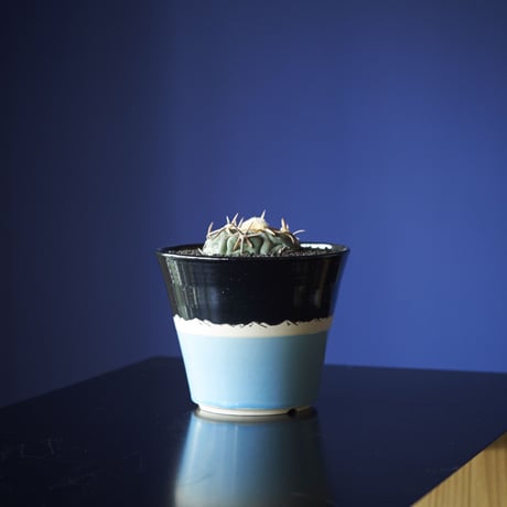 太平丸　×　AMETSUCHI pot (M)
