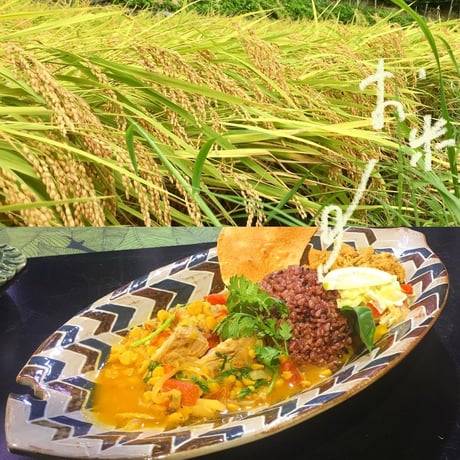 森林食堂の新米(伊賀米コシヒカリ）白米・玄米10kg・5kg