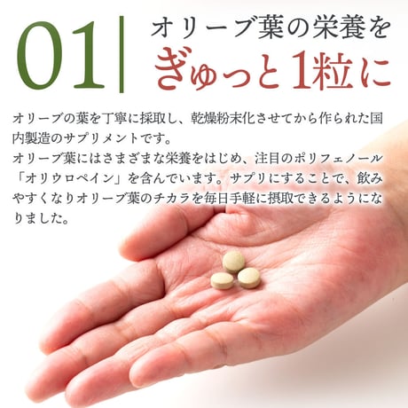 オリーブリーフサプリ