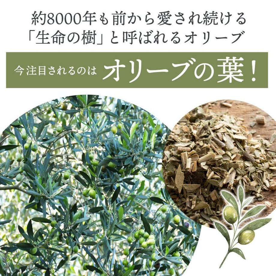 5ef189230d5e384043843309