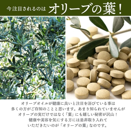 オリーブリーフサプリ