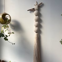 WALL DECO
