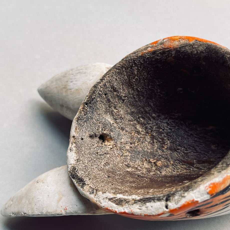 656c9f3eccd49a3f31dc35ba