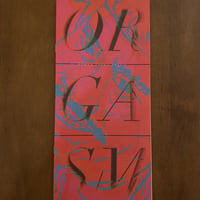 ORGASM 05
