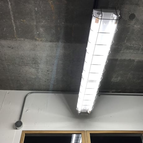 【W-2LWG】 ダクトレール用1灯LEDライト　ホワイト　アイアンワイヤーガード　  照明器具