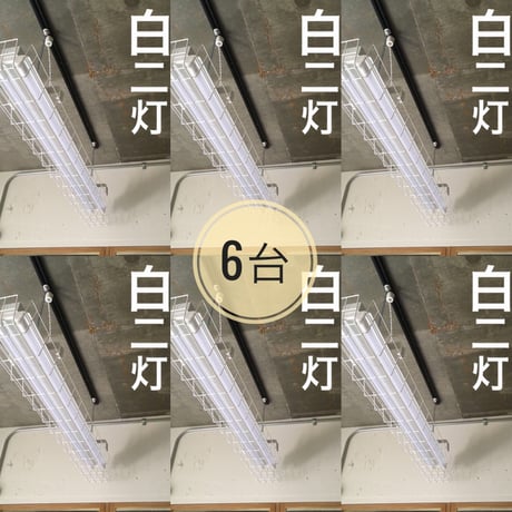 6台 ×【W-2LG02】ダクトレール用LEDライト ガード付き  2灯