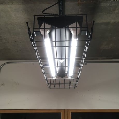 【B-2L20GW】配線ダクトレール用 2灯LED ライト つや消し黒 　ガード付き 照明器具