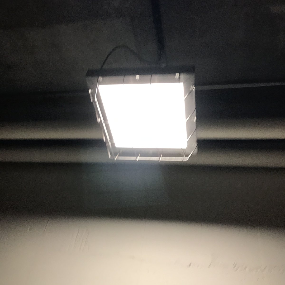 WD-SQ】ダクトレール用 LEDライト スクエア アイアンガード 照明器具