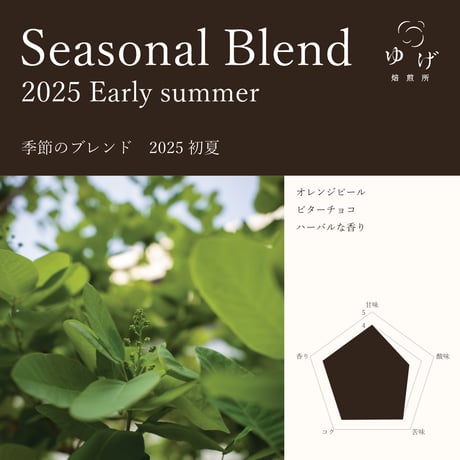 季節のブレンド　2025 初夏