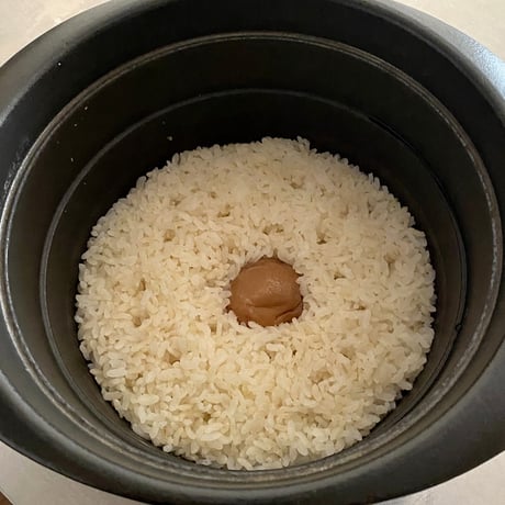 紀州南高梅・梅干し 200g（うめ干し屋 有田物産）