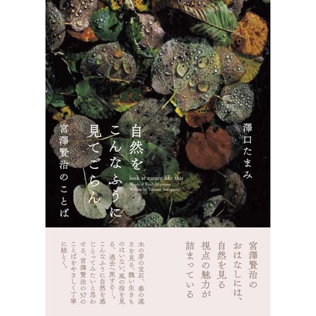 自然をこんなふうに見てごらん　宮澤賢治のことば