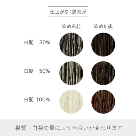 ヘナ＋木藍・黒茶系（ナイアード）
