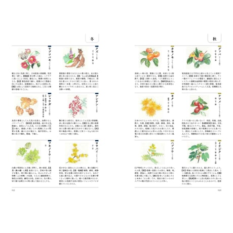 薬草手帖　ー⼼⾝を慈しむためにー