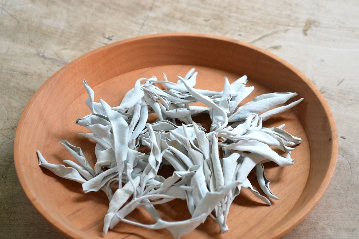 ホワイトセージ プレミアム | 暮らしの雑貨店 コネッタ