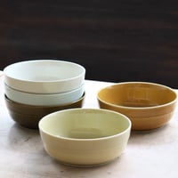 TRIP WARE / 浅ボウル 160（大）