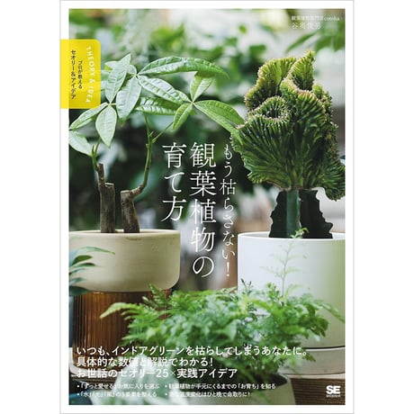 もう枯らさない！観葉植物の育て方　プロが教えるセオリー＆アイデア