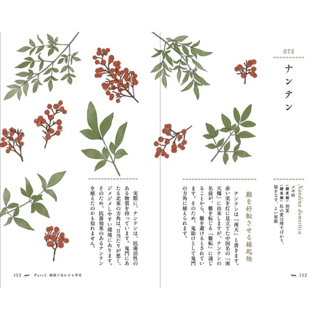 花と草の物語手帳 ～105の花言葉とエピソード