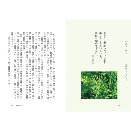 自然をこんなふうに見てごらん　宮澤賢治のことば