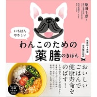 わんこのための薬膳のきほん